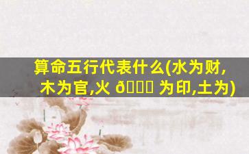 算命五行代表什么(水为财,木为官,火 🕊 为印,土为)